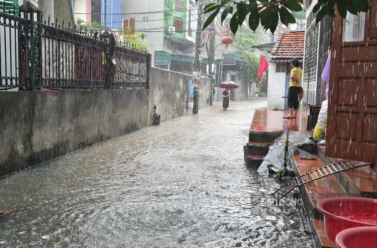Ngập lụt tại Ngõ 4, khu Cao Thắng, phường Hà Lầm, tỉnh Quảng Ninh. Ảnh: Nguyễn Hùng