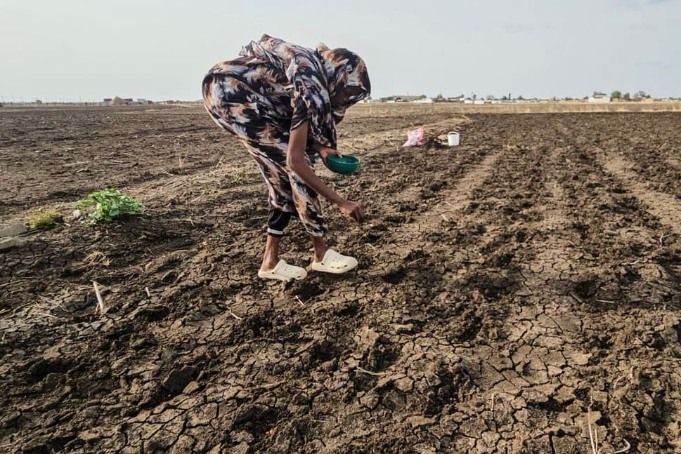 Sudanese farmers sow seeds in barren fields in eastern Sudan. Photo: AFP