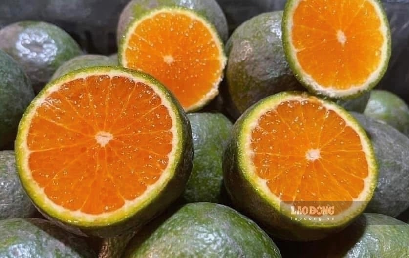 Oranges are also a source of calcium that housewives should take advantage of. Photo: Kieu Vu
