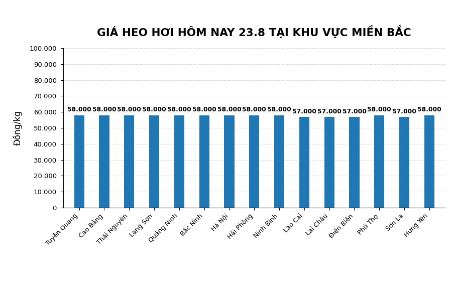 Giá heo hơi hôm nay 23.8 tại khu vực miền Bắc. Đồ họa sử dụng AI