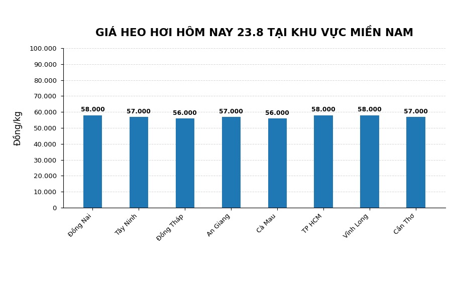 Giá heo hơi hôm nay 23.8 tại khu vực miền Nam. Đồ họa sử dụng AI