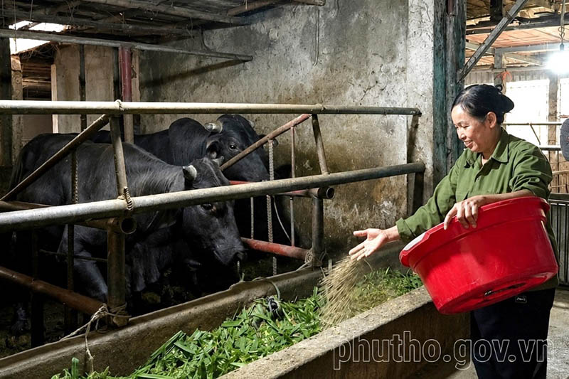 Phú Thọ phát triển nông nghiệp tuần hoàn đa giá trị