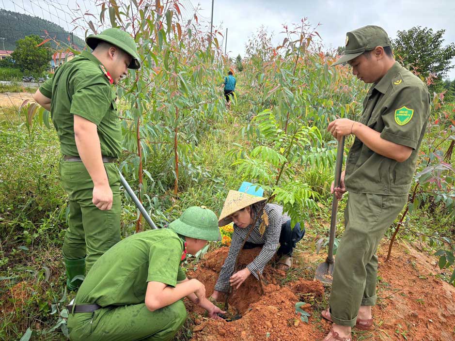 Yen Thanh Commune Police and people plant trees, contributing to building a green, clean, and beautiful landscape. Photo: Lao Cai Provincial Police