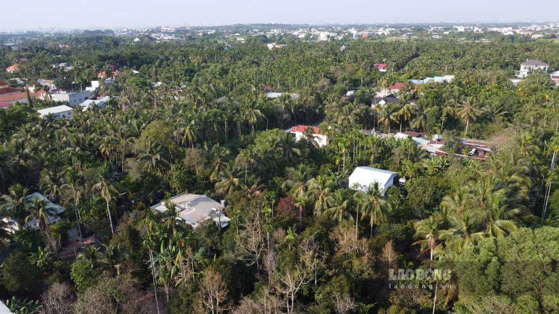 Thuan An ward unanimously proposes no merger. Photo: Dinh Trong