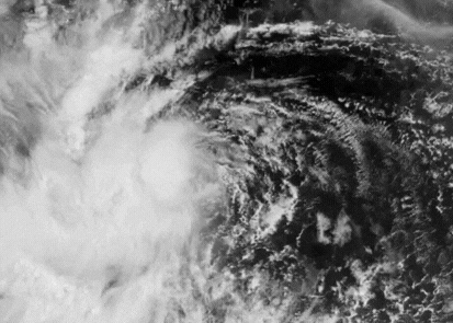 Satellite images show the morphology of tropical depression TD 19W over the sea east of the Philippines on August 23. Photo: JMA