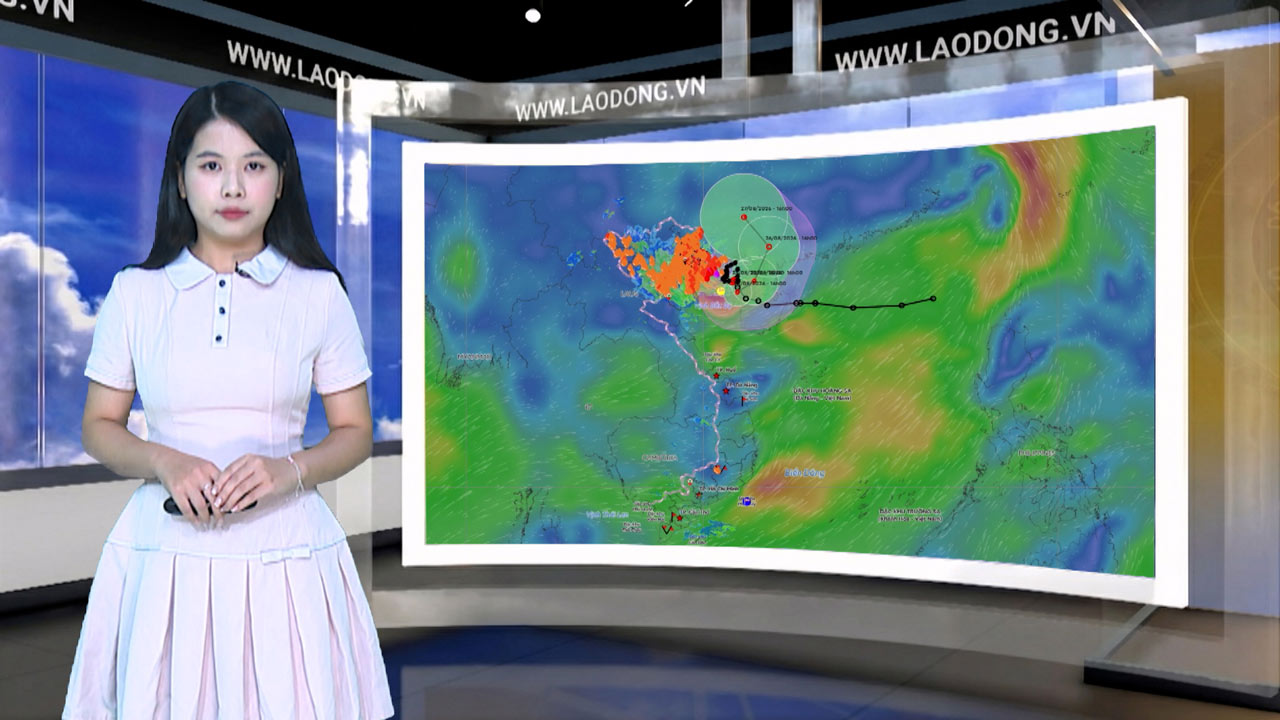 Weather forecast tonight and tomorrow 24. 8