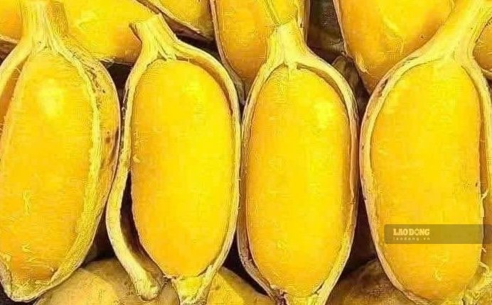 Wax bananas are said to support weight loss and stabilize blood pressure when you know how to prepare them. Photo: Kieu Vu