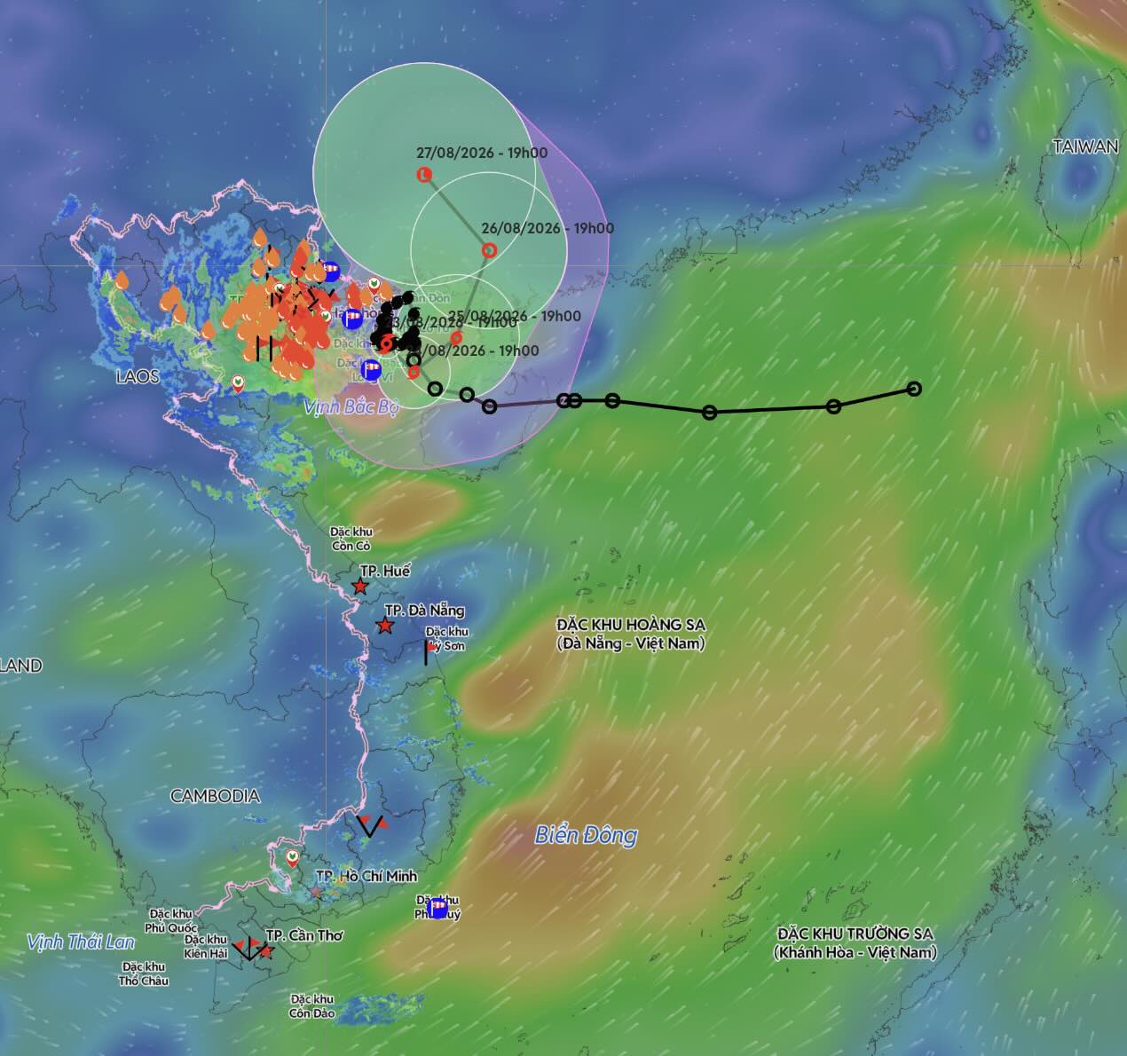 Update on the location and path of storm No. 4 at 8:00 PM on August 23. Source: Vietnam Disaster Monitoring System