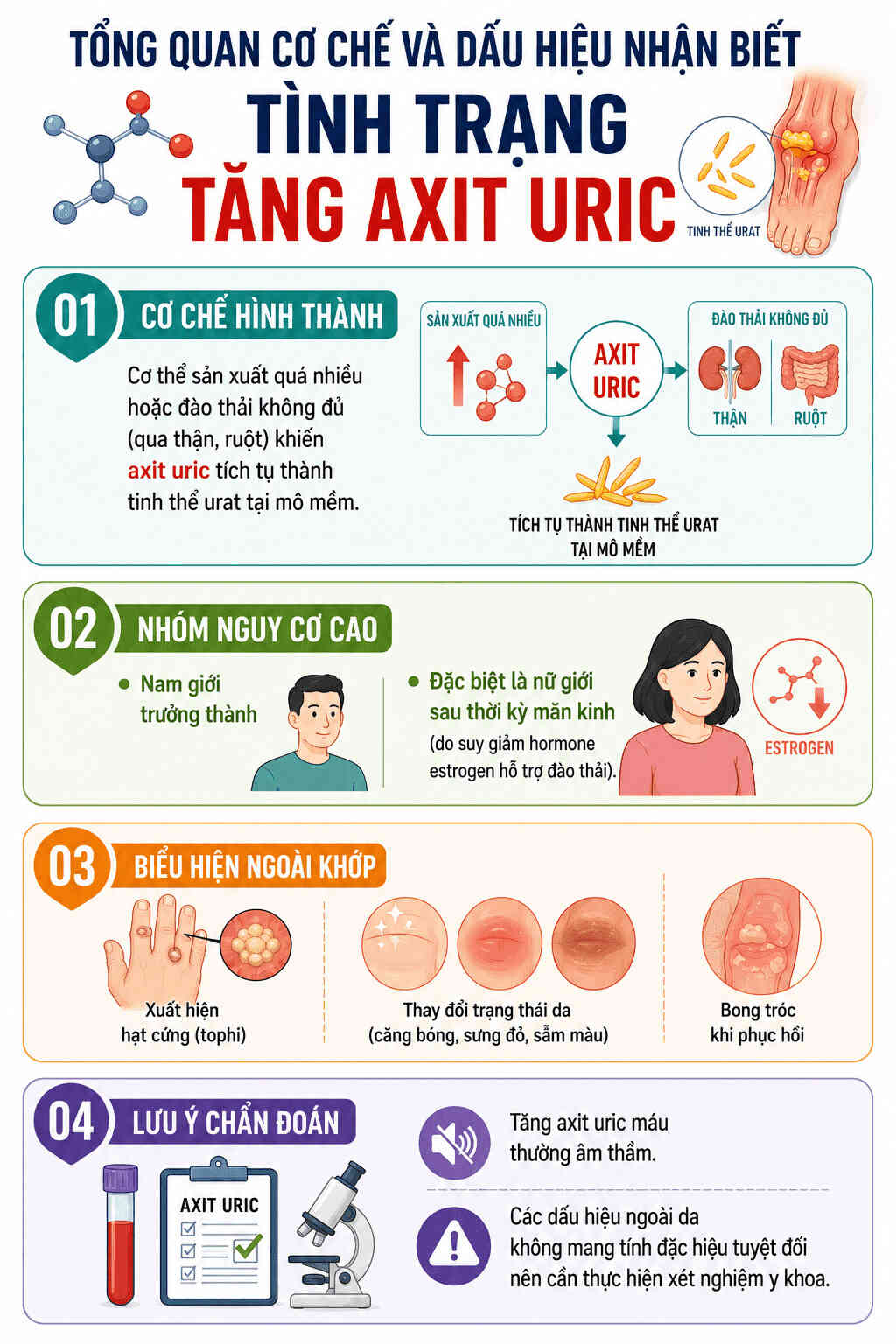Infographic: Tổng quan cơ chế và dấu hiệu nhận biết tình trạng cao axit uric. Đồ họa: AI