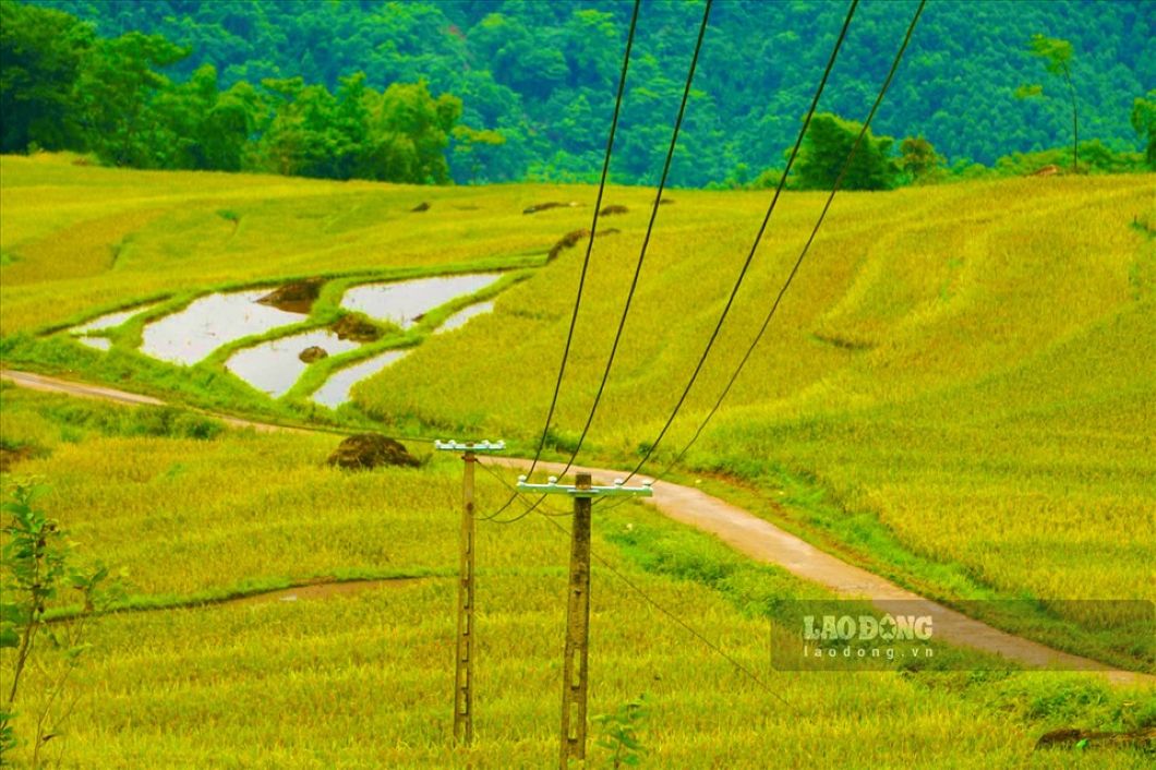 Cảnh sắc đẹp ngỡ ngàng của Pù Luông mùa lúa chín. Ảnh: Đinh Lê