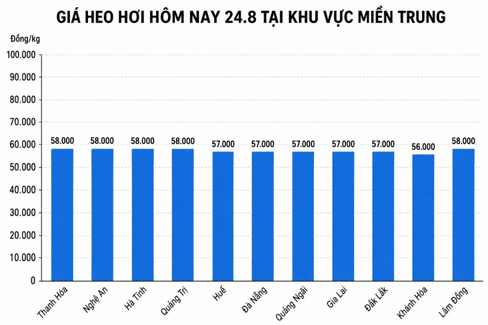 Giá heo hơi hôm nay 24.8 tại khu vực miền Trung. Đồ họa: AI