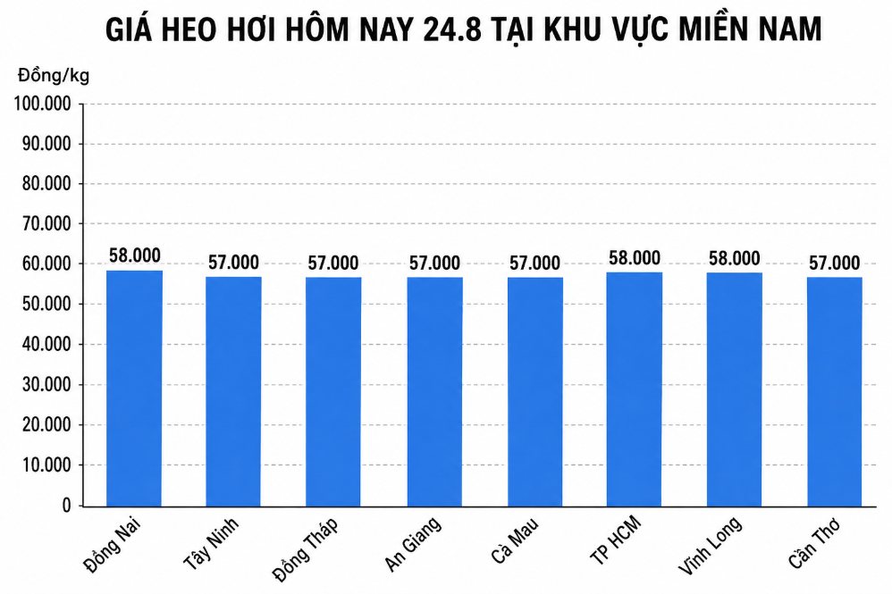 Giá heo hơi hôm nay 24.8 tại khu vực miền Trung. Đồ họa: AI