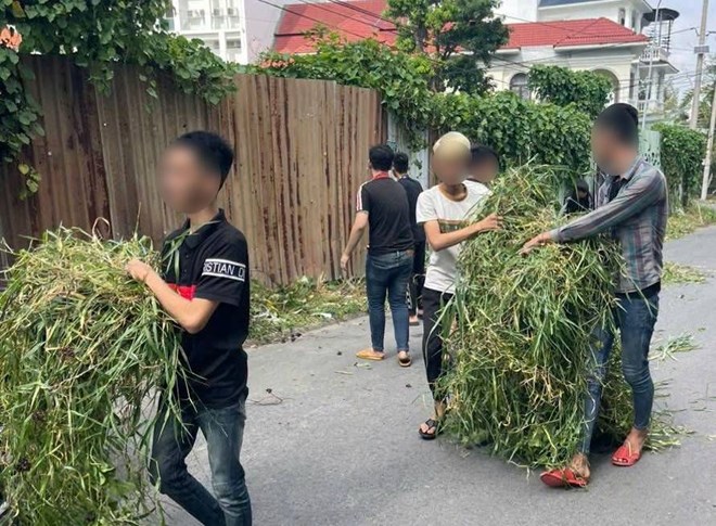 Police take teenagers causing trouble after cheering for football to clean up. Photo: Thu Dau Mot Ward Police