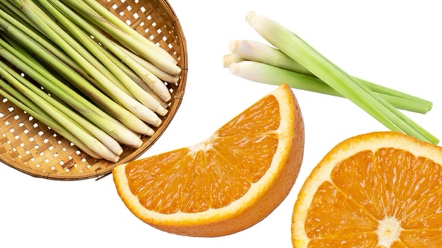 Orange and lemongrass when combined with these two ingredients, the mild orange scent mixed with lemongrass helps the kitchen become more comfortable after being deodorized. Graphic photo: AI