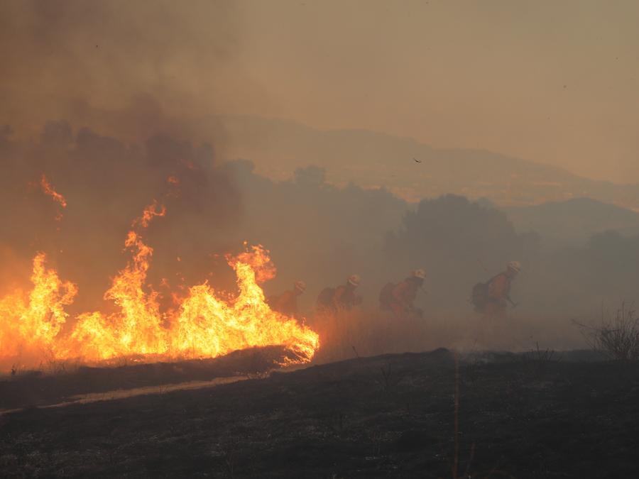Firefighters deployed to extinguish a forest fire in the US. Photo: Xinhua