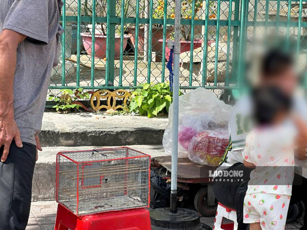 Một chiếc lồng chim trống được đặt phía trước để người có nhu cầu chủ động hỏi mua. Ảnh: Lý Linh