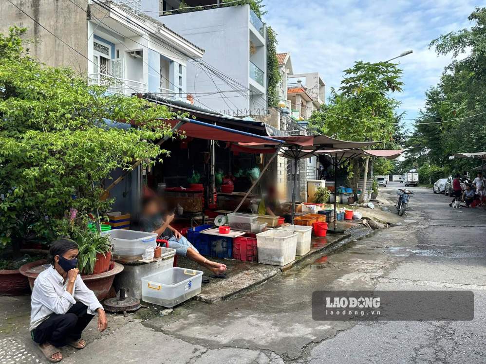 Approaching the full moon of July, around some pagodas in Ho Chi Minh City, the activity of selling released animals is still taking place. Photo: Ly Linh