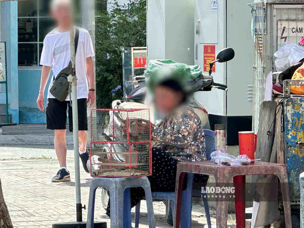 Chim phóng sinh được bày bán công khai ở khu vực đối diện chùa Bà Thiên Hậu. Ảnh: Lý Linh