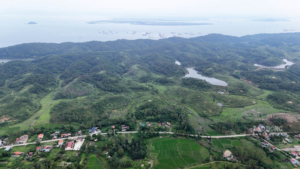 Xã đảo Vĩnh Thực