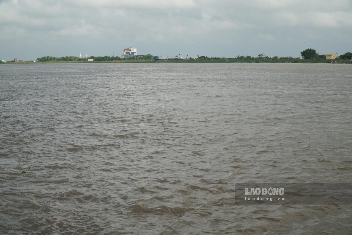Ninh Binh Provincial Hydrometeorological Station announces flood information on the Hoang Long and Day rivers. Photo: Ha Vi