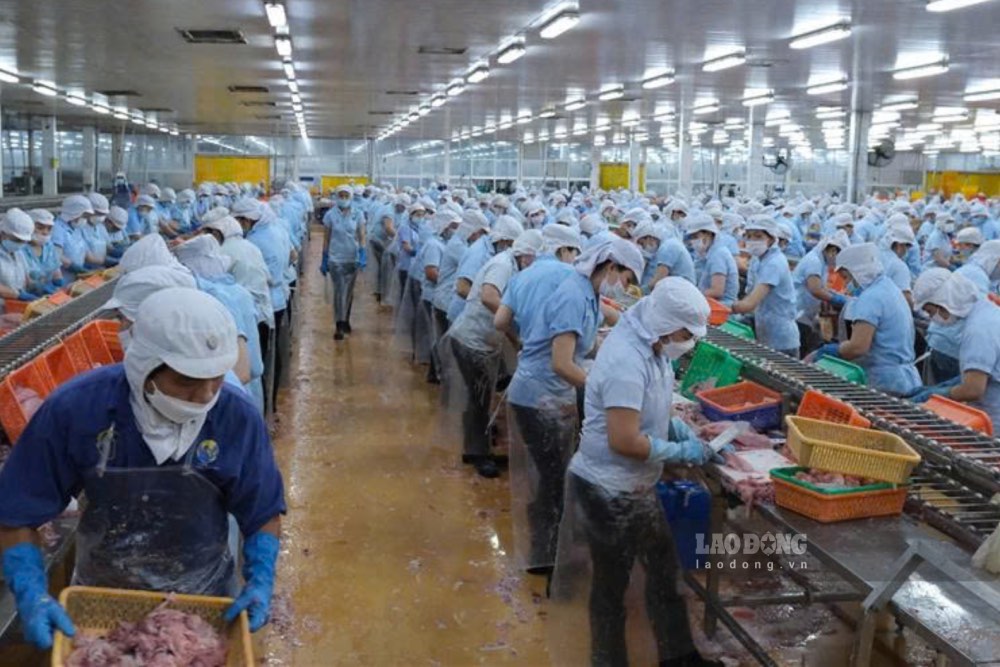 After busy overtime hours at the production line, many workers return home with a small screen as a tool to access information. In the photo: workers producing in Can Tho City - Phong Linh.