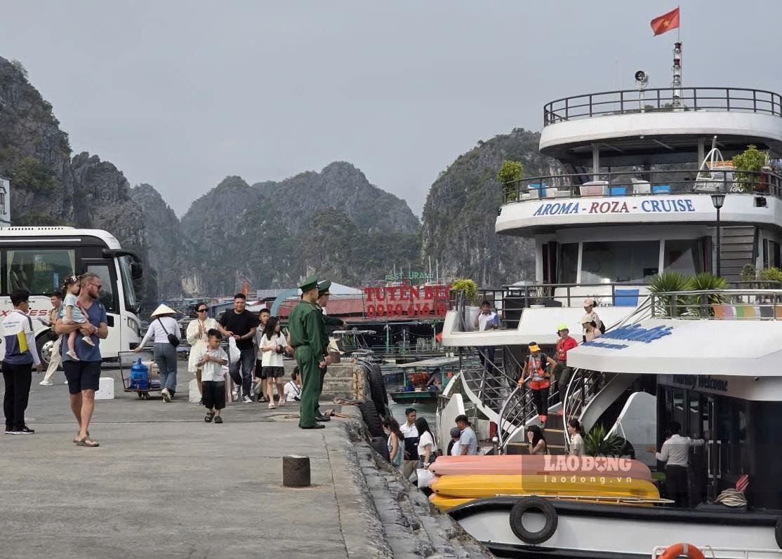 Hai Phong City assigns Cat Hai special zone to study the use of cameras to monitor ships and entertainment spots in Lan Ha Bay. Photo: Hoang Khoi