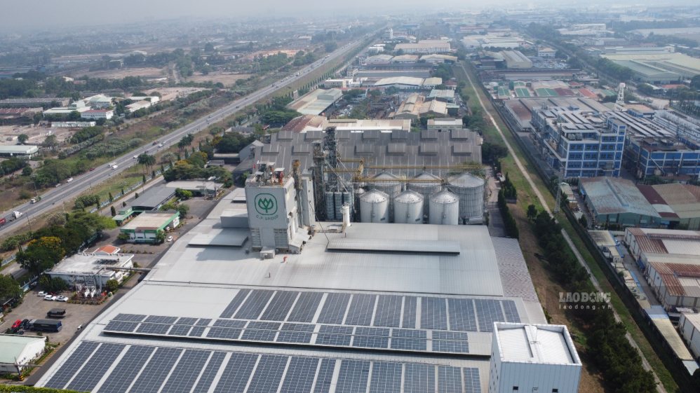 C.P Vietnam Livestock Joint Stock Company in Bien Hoa 2 Industrial Park, Dong Nai City. Photo: HAC