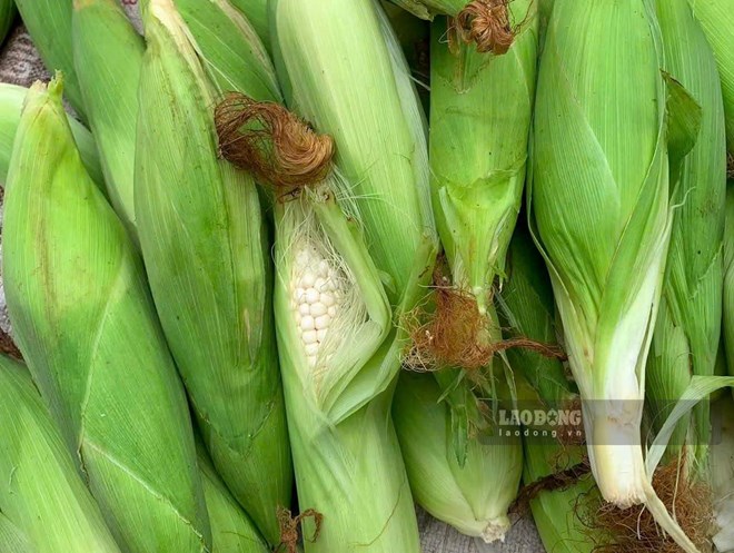 Tea from corn silk can be used as a sugar-free, low-energy drink in a weight loss diet. Photo: Quang Minh