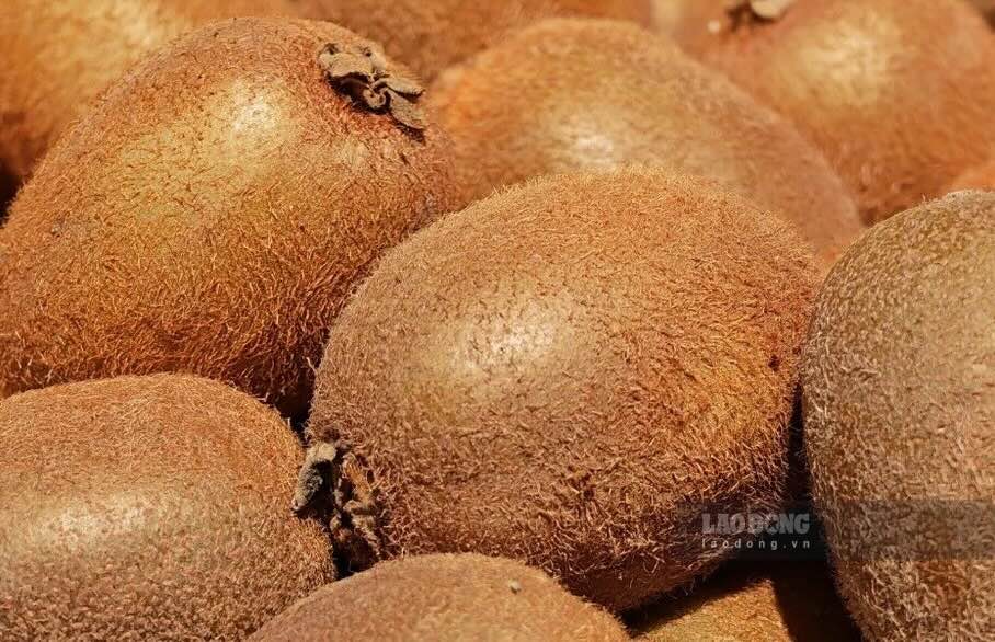 Supplementing calcium from kiwi fruit - a skin-feathered fruit - is one of the ways that many people take advantage of. Photo: Kieu Vu