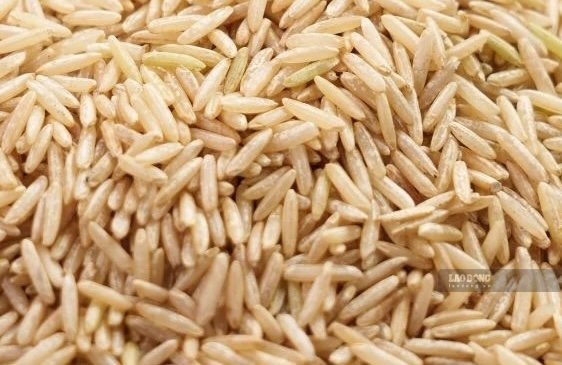 Liver function will be supported when adding brown rice to the daily diet properly. Photo: Kieu Vu