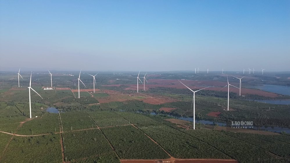 Cánh đồng điện gió ở Gia Lai. Ảnh: Thanh Tuấn 