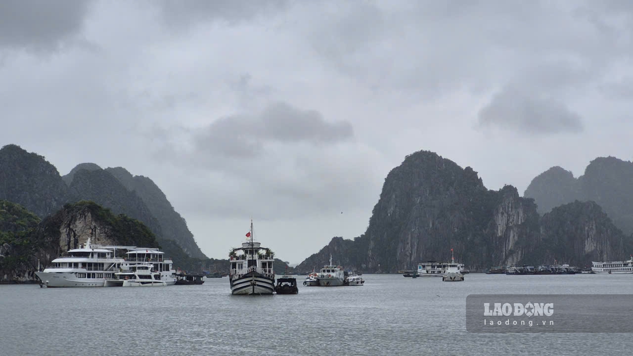 Sẽ có 72 tàu du lịch tham gia chương trình trình diễn ánh sáng trên vịnh Hạ Long. Ảnh: Nguyễn Hùng