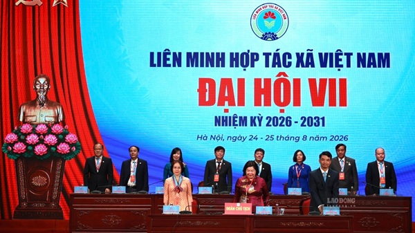 Congreso de la Alianza de Cooperativas de Vietnam: Innovación para el desarrollo. Foto: Hai Nguyen