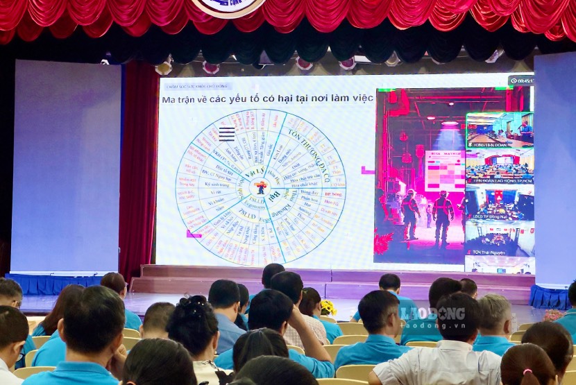 Cán bộ công đoàn TPHCM tham gia tập huấn về chăm sóc sức khỏe chủ động, an toàn lao động và phòng ngừa bệnh nghề nghiệp. Ảnh: Mai Anh. 