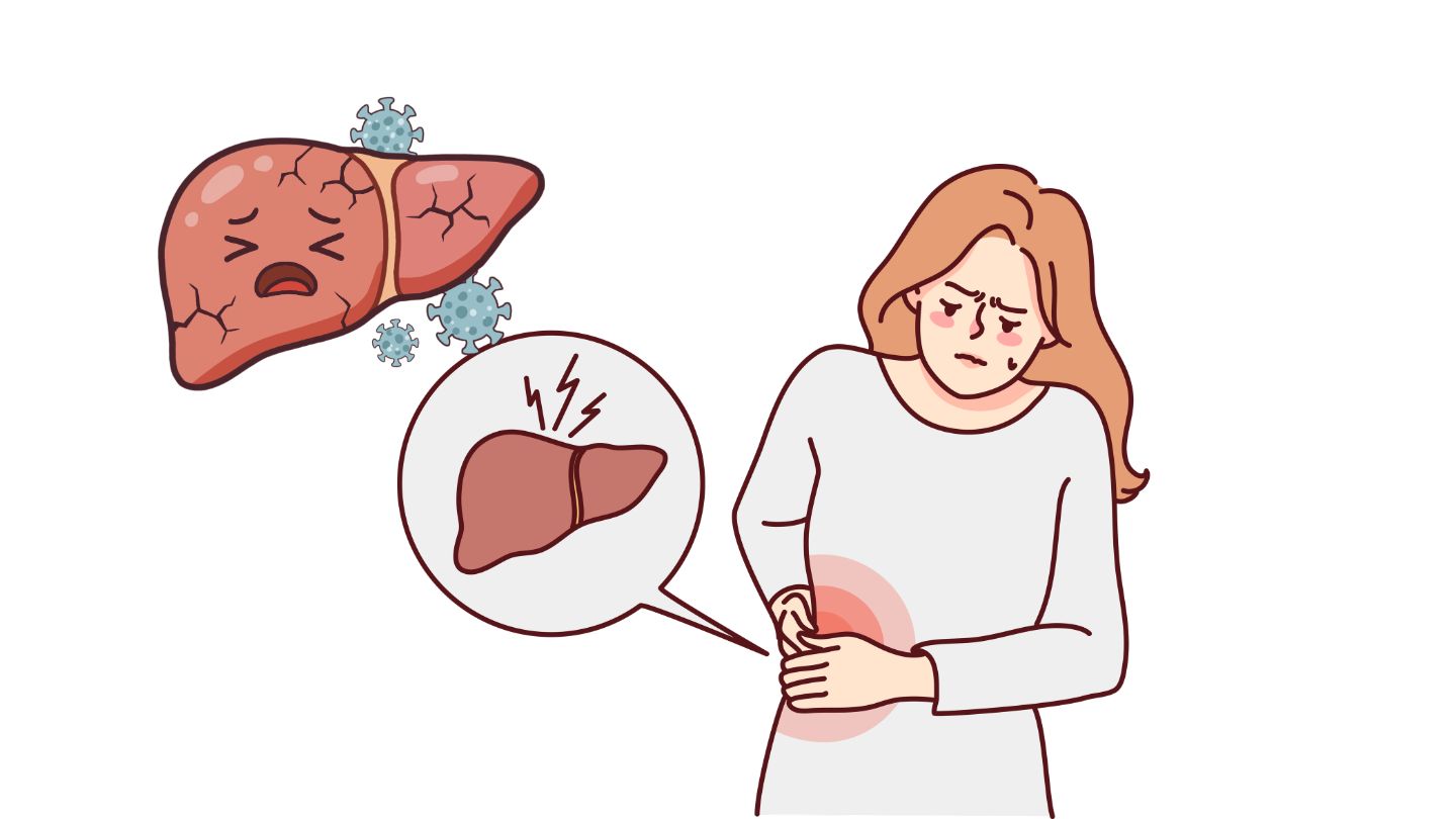 After age 40, skipping breakfast, drinking alcohol and prolonged lack of exercise can affect liver function. Graphic photo: Huong Son/Using AI