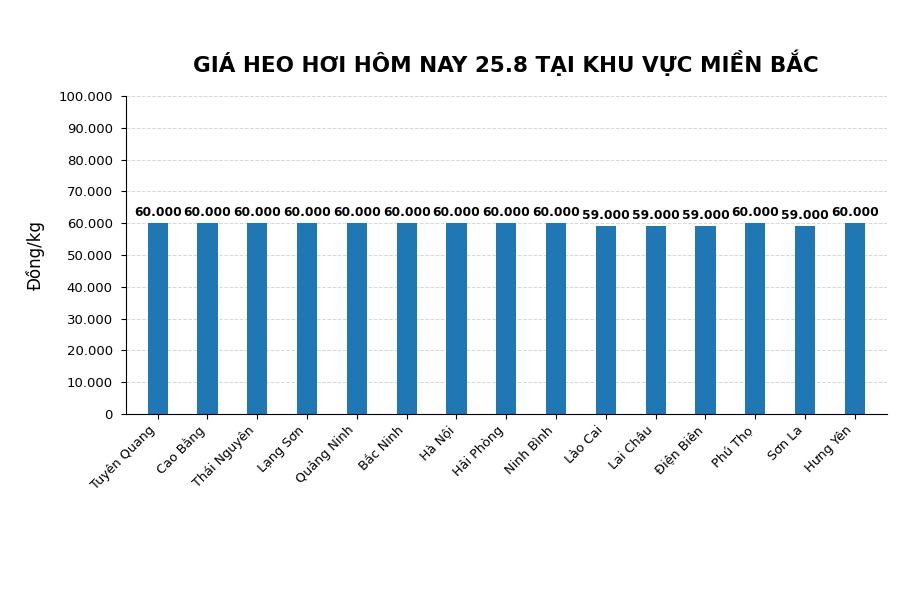 Giá heo hơi hôm nay 25.8 tại khu vực miền Bắc. Đồ họa: AI
