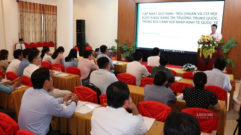 120 trainees in Vinh Long attend a training class to update regulations, standards and export opportunities to the Chinese market. Photo: Hoang Loc
