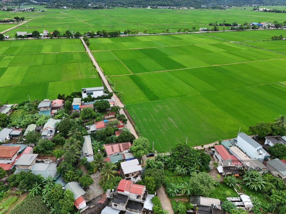 Social housing project in Thanh Yen commune is about to be implemented. Photo: Thanh An