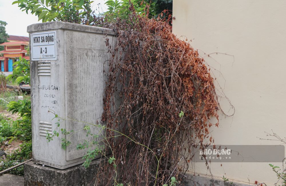 サドン住宅地(ドンホイ区)の多くの配電盤が草に埋もれており、稼働の兆候はありません。写真:グエン・ルアン