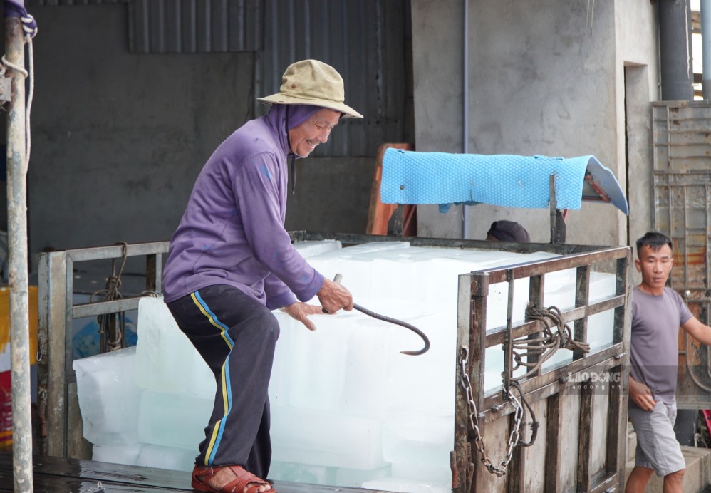 Ông Trần Minh Nghĩa, trú thôn Đông, xã An Vĩnh, đặc khu Lý Sơn tất bật tiếp nhiên liệu, vận chuyển đá lạnh... để ra khơi thu mua hải sản trên ngư trường Hoàng Sa. Ảnh: Viên Nguyễn