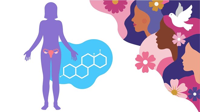 Menopause can start from hormonal changes when you are only 35 years old. Photo AI