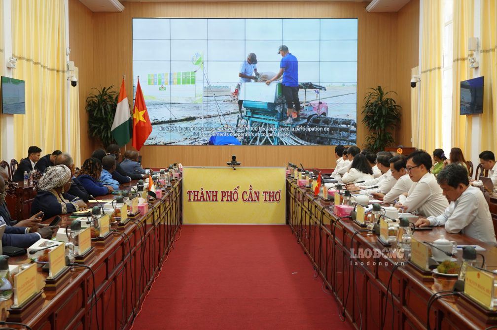 Các đại biểu theo dõi video giới thiệu về nông nghiệp thành phố Cần Thơ. Ảnh: Tạ Quang