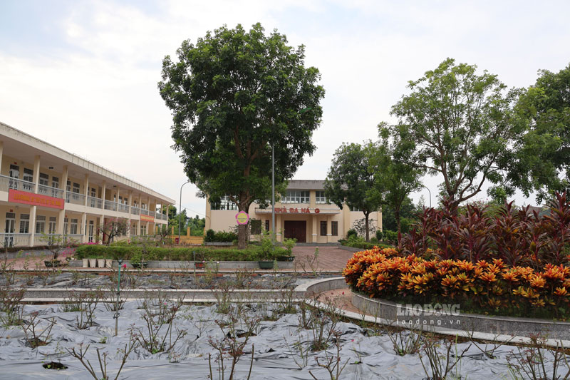 Khuôn viên trường học được vệ sinh, chỉnh trang, sẵn sàng đón học sinh trở lại. Ảnh: Đinh Đại