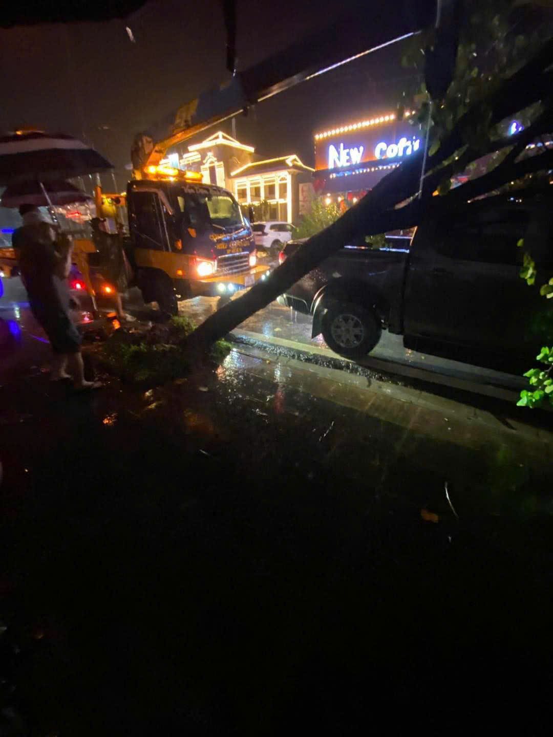 Một cây to đổ ngã vào xe ôtô. Ảnh: Người dân cung cấp