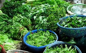 Prolonged heavy rain due to the impact of storm No. 4, green vegetables increase in price. Photo: Trang Anh