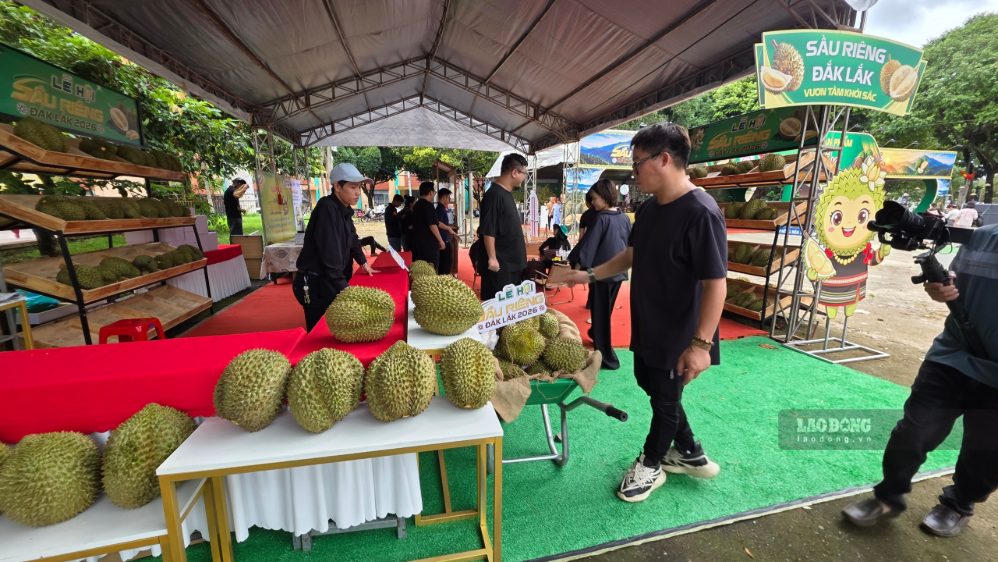 Lễ hội được dự báo sẽ tạo cú hích cho ngành du lịch địa phương. Ảnh: Nguyễn Hạnh