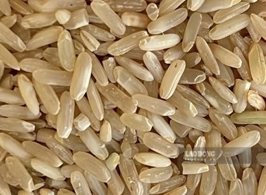 Lunch with brown rice is one of the ways to control blood fat. Photo: Kieu Vu