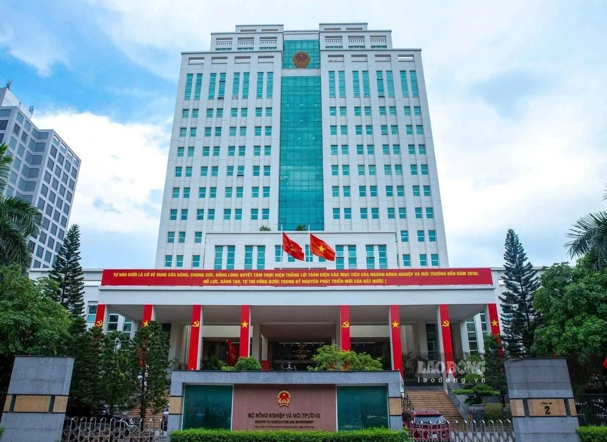 The Ministry of Agriculture and Environment is continuing to review, arrange, and arrange jobs for civil servants and public employees; completing the arrangement of public service units. Photo: Khuong Trung