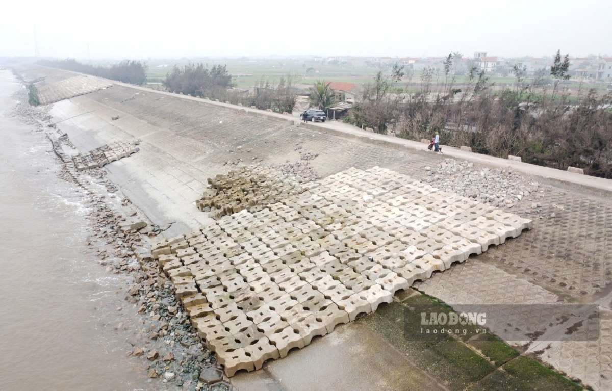 The Hai Thinh 2 and 3 dyke areas of Hai Thinh commune, Ninh Binh province are one of the key dyke areas. Photo: Ha Vi