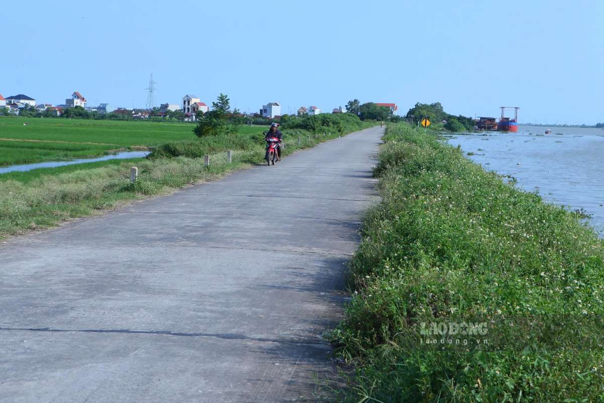 Tuyến